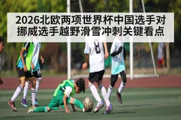 2026北欧两项世界杯中国选手对挪威选手越野滑雪冲刺关键看点 | ng28